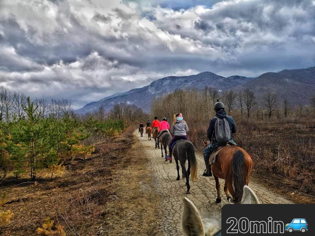 Lovinac  Ruralna Kuca Za Odmor Likaヴィラ エクステリア 写真